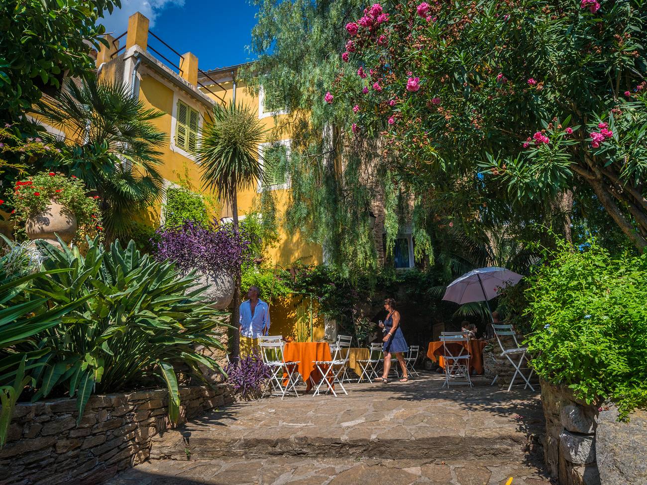 Bormes les Mimosas à côté de l'hôtel La Petite Bohème